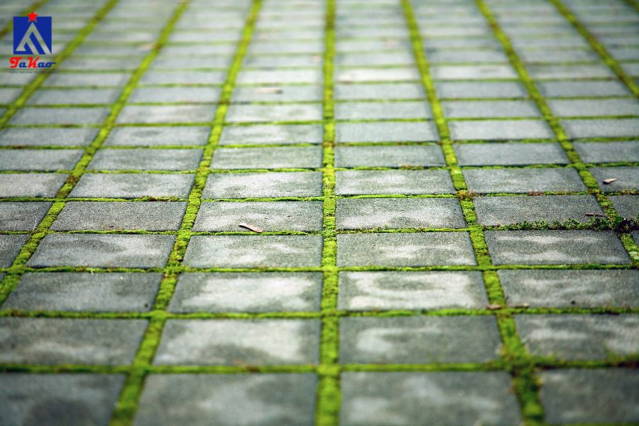 Kinh nghiệm chọn gạch lát sân vườn