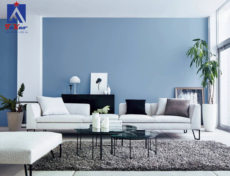 Tường màu xanh nên lát gạch màu gì
