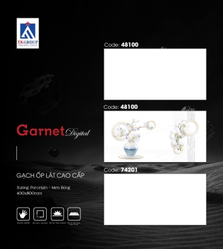 Gạch Porcelain - Elite 48100