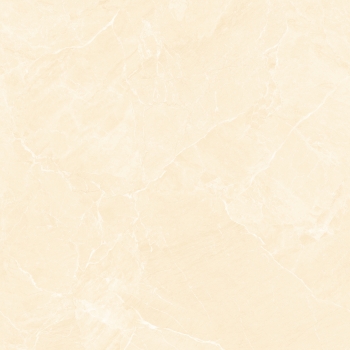 16909 / 18909 (Combo)